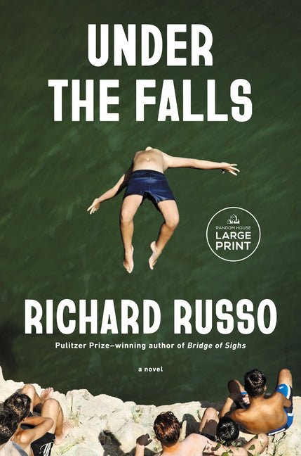Book cover for Under the Falls