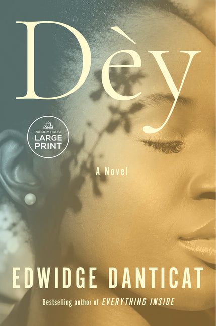 Book cover for Dèy