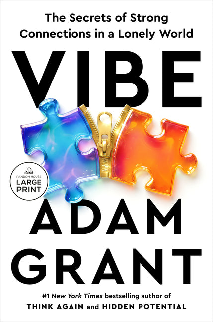Book cover for Vibe: The Secrets of Strong Connections in a Lonely World