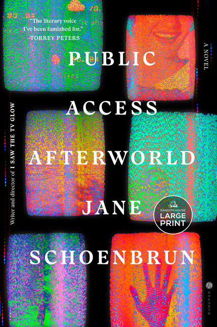 Book cover for Public Access Afterworld