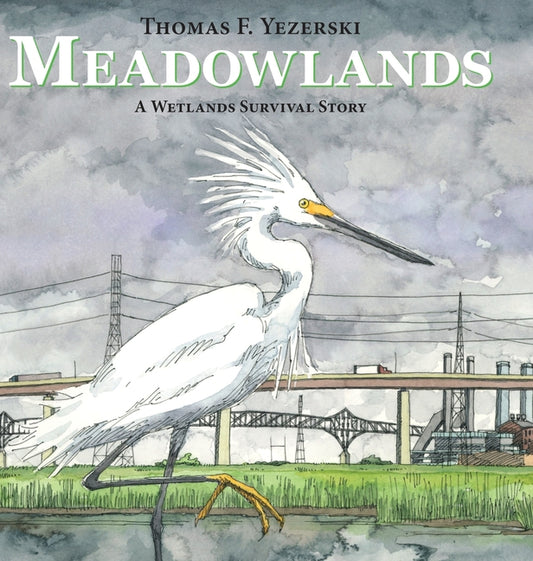 Book cover for Meadowlands: A Wetlands Survival Story