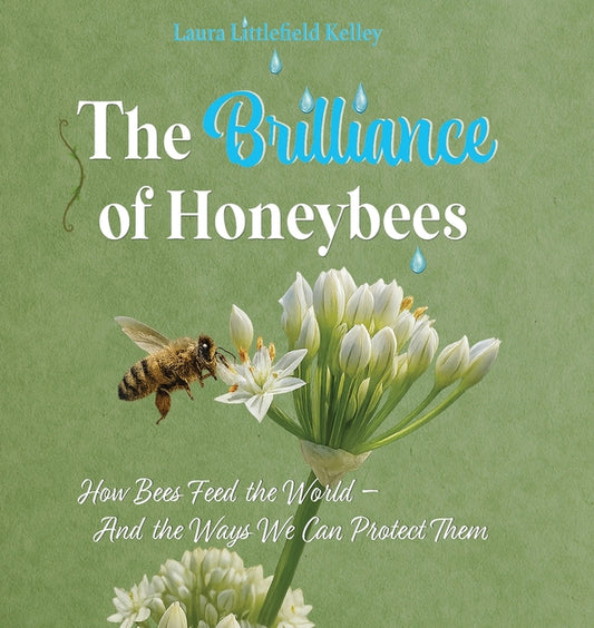 Book cover for Brilliance of Honeybees: How Bees Feed the World, And the Ways We Can Protect Them