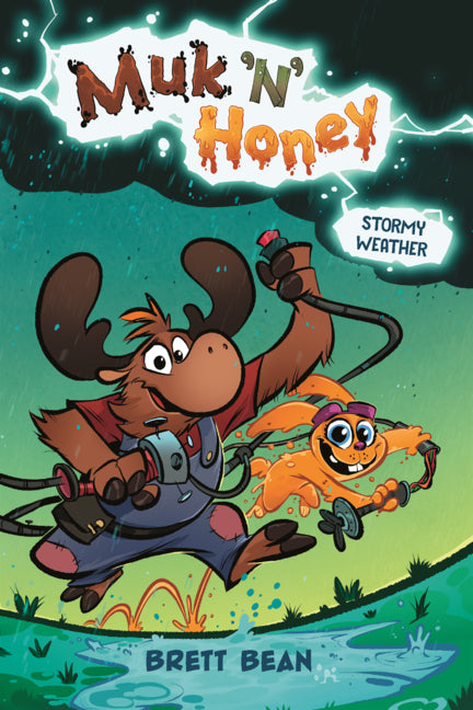 Book cover for Stormy Weather