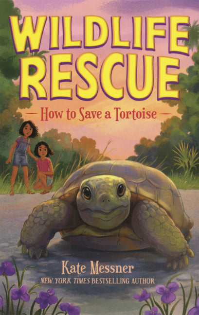 Book cover for How to Save a Tortoise