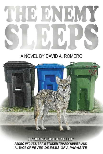 Book cover for Enemy Sleeps