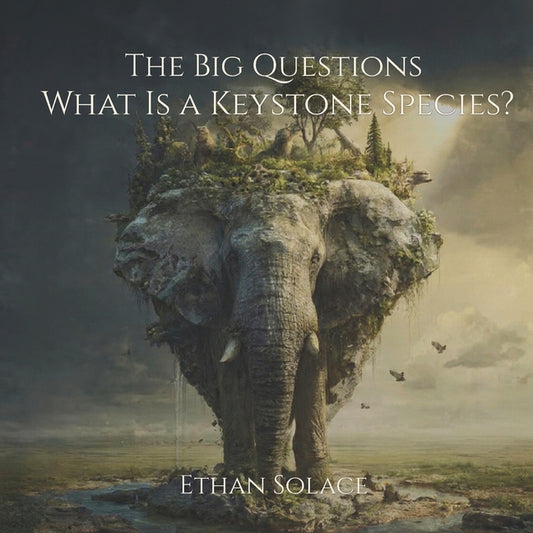 Book cover for Big Questions: What Is a Keystone Species?