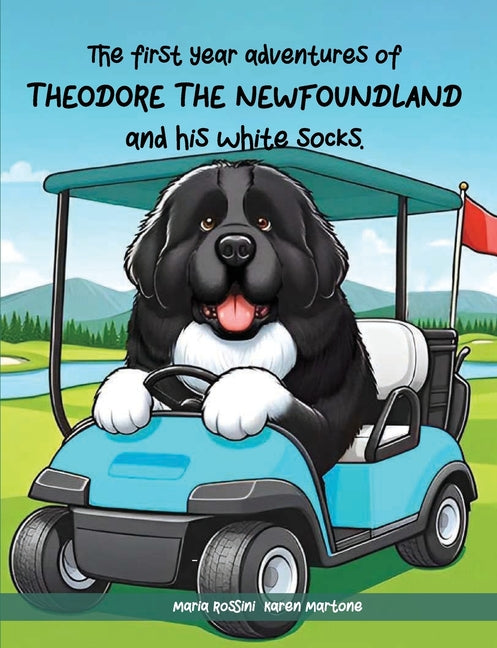 Book cover for First Year Adventures Of Theodore The Newfoundland And His White Socks