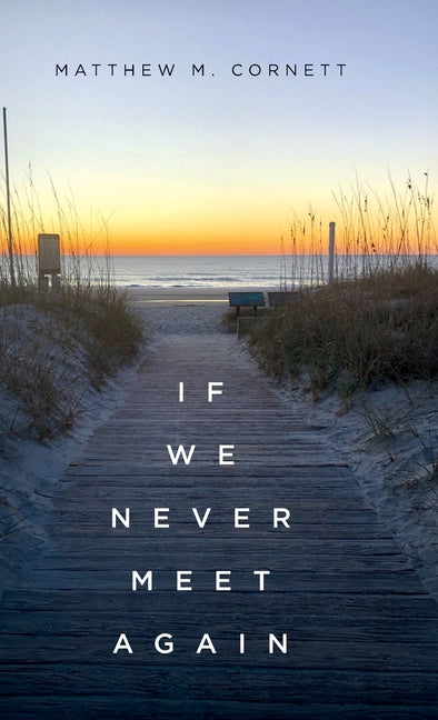 Book cover for If We Never Meet Again