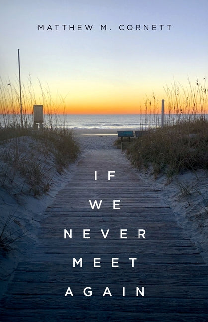 Book cover for If We Never Meet Again