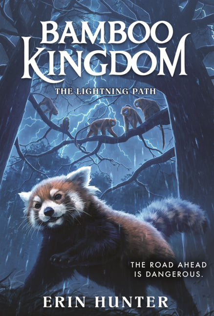 Book cover for Lightning Path