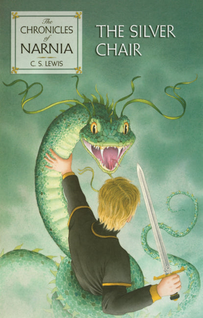 Book cover for Silver Chair