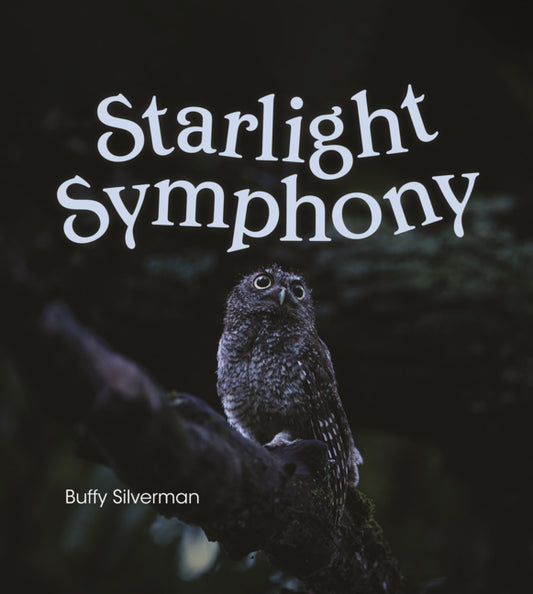 Book cover for Starlight Symphony