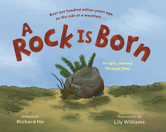 Book cover for Rock Is Born