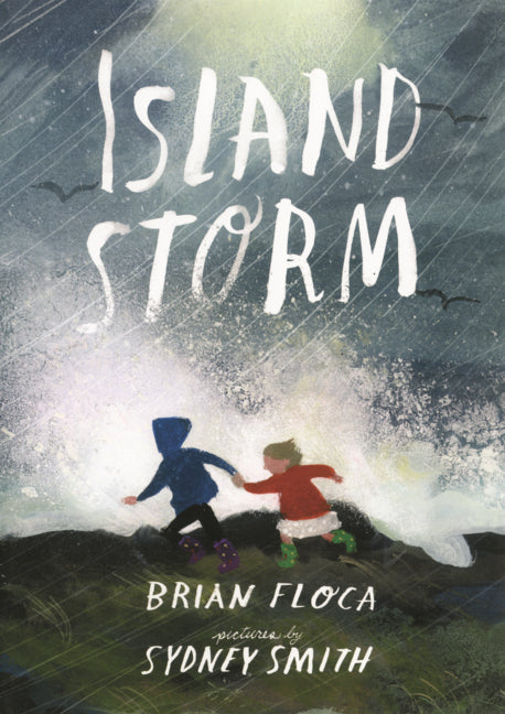 Book cover for Island Storm