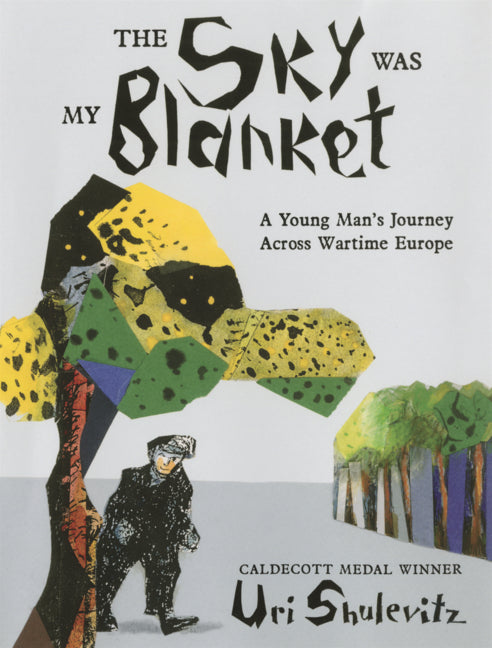 Book cover for Sky Was My Blanket: A Young Man's Journey Across Wartime Europe