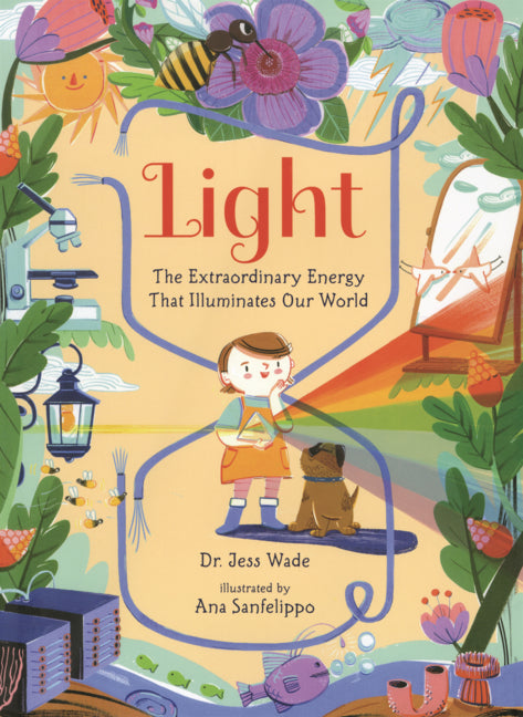 Book cover for Light: The Extraordinary Energy That Illuminates Our World