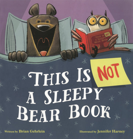 Book cover for This Is Not a Sleepy Bear Book
