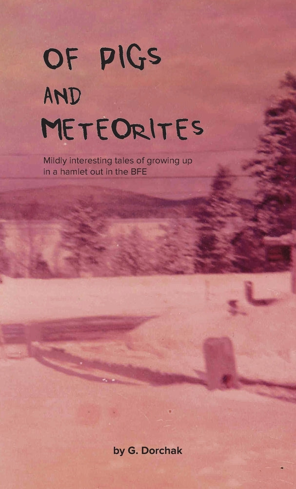 Book cover for Of Pigs and Meteorites