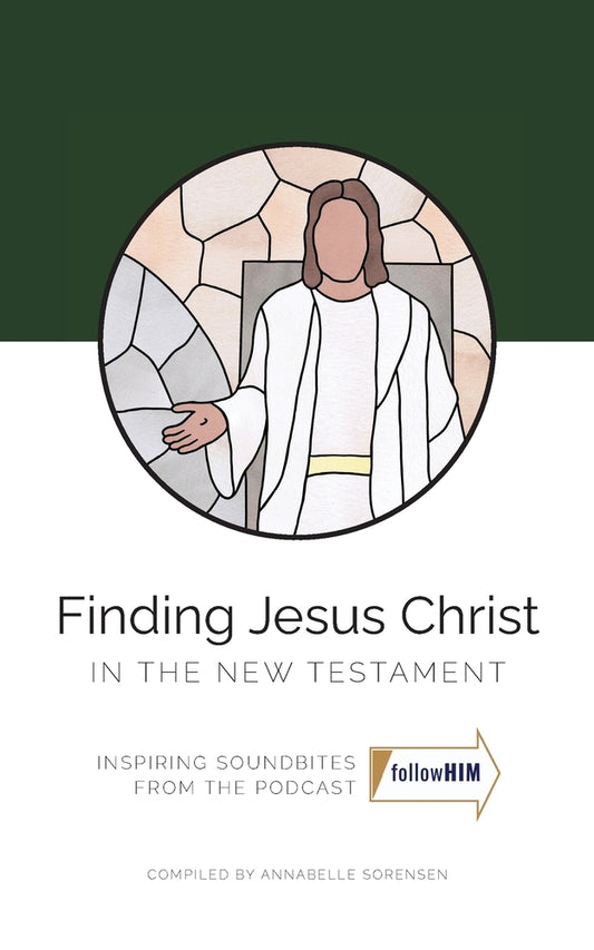 Book cover for Finding Jesus Christ in the New Testament