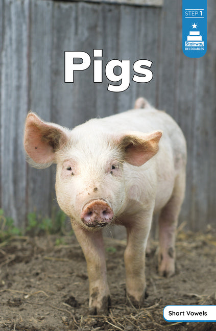Book cover for Pigs