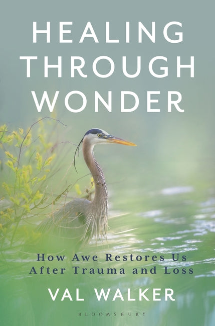 Book cover for Healing Through Wonder: How Awe Restores Us After Trauma and Loss
