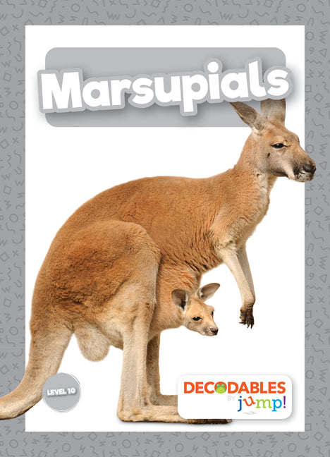 Book cover for Marsupials
