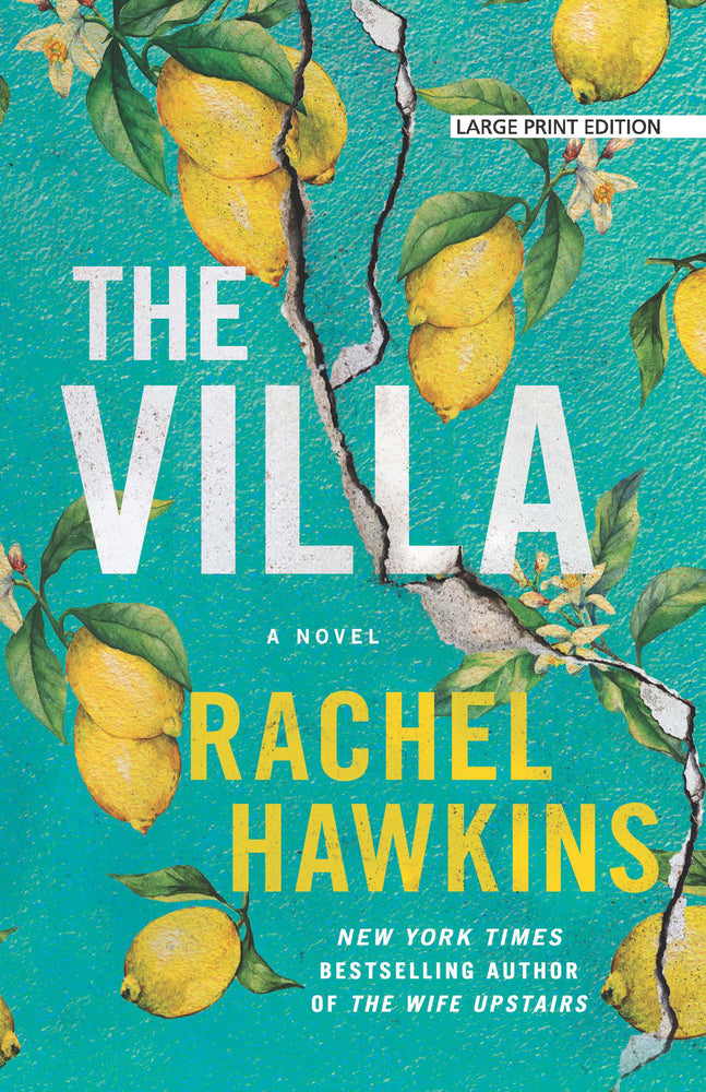 Book cover for The Villa