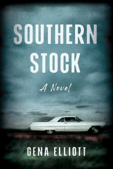 Book cover for Southern Stock