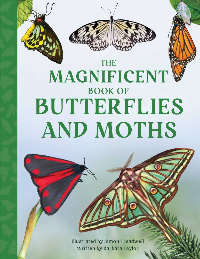 Book cover for The Magnificent Book of Butterflies and Moths