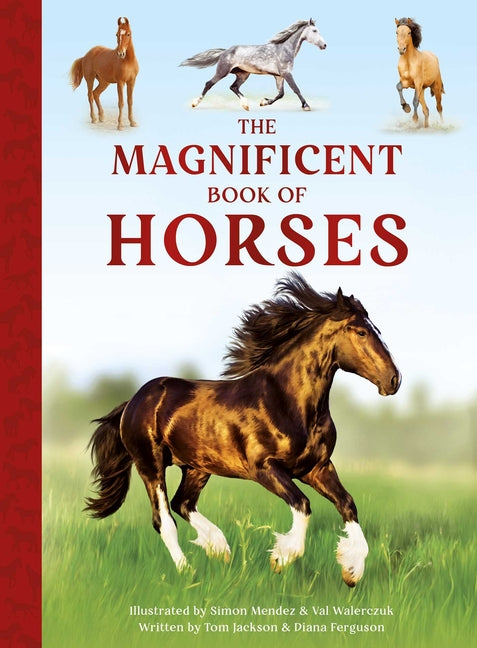 Book cover for Magnificent Book of Horses