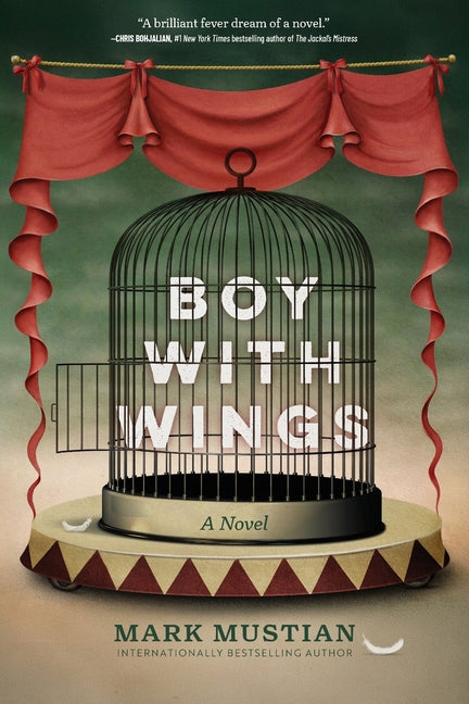 Book cover for Boy With Wings