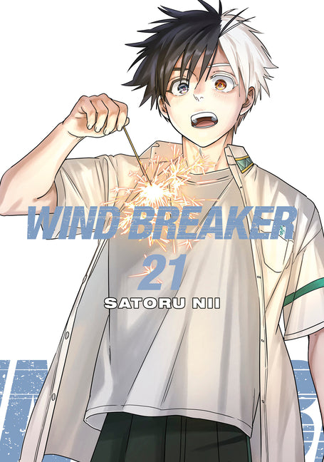 Book cover for Wind Breaker 21