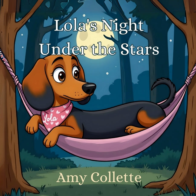 Book cover for Lola's Night Under the Stars