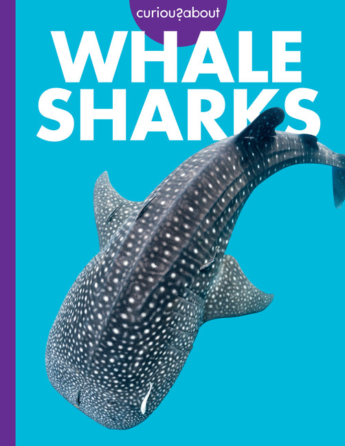 Book cover for Curious about Whale Sharks