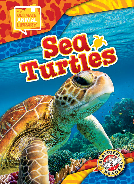 Book cover for Sea Turtles