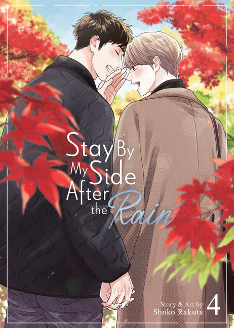 Book cover for Stay by My Side After the Rain Vol. 4