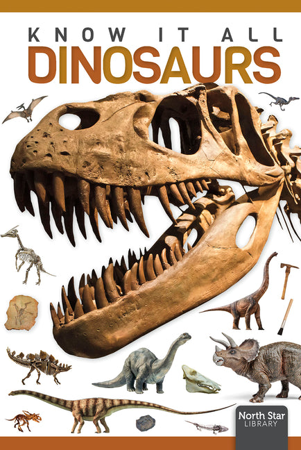 Book cover for Dinosaurs