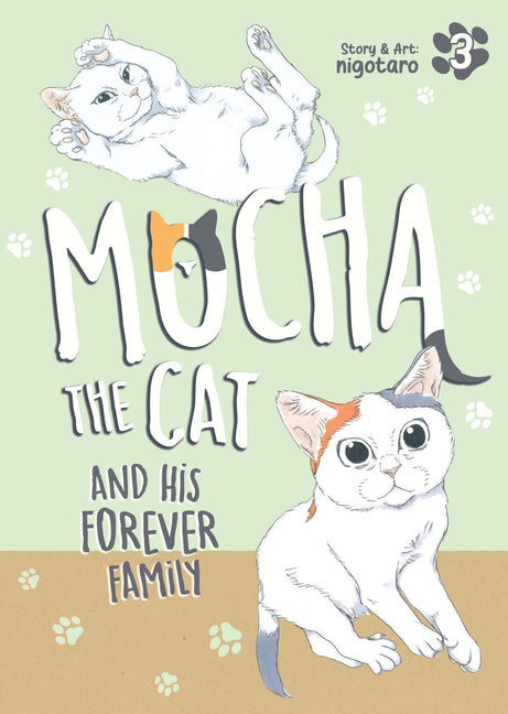 Book cover for Mocha the Cat and His Forever Family Vol. 3