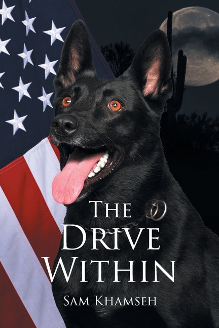 Book cover for Drive Within