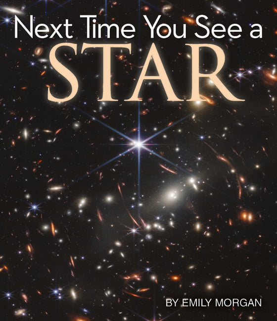 Book cover for Next Time You See a Star