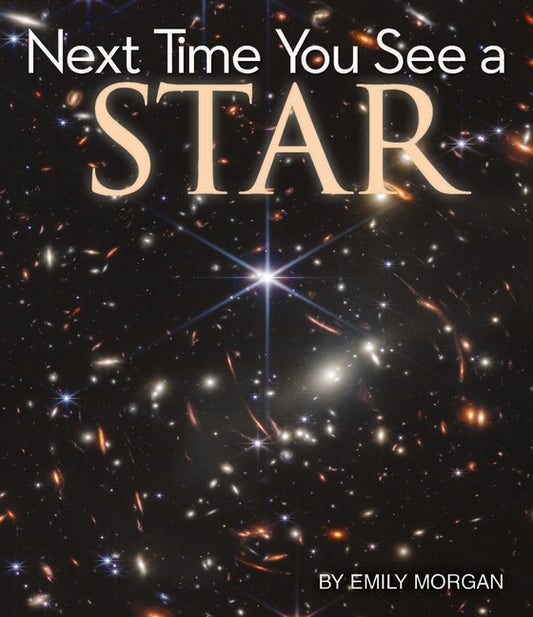 Book cover for Next Time You See a Star