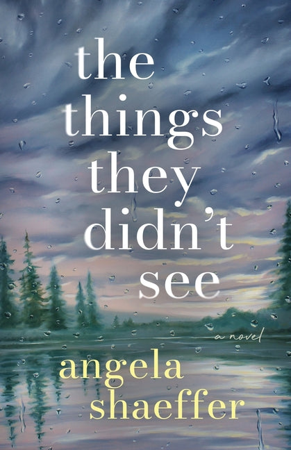 Book cover for Things They Didn't See