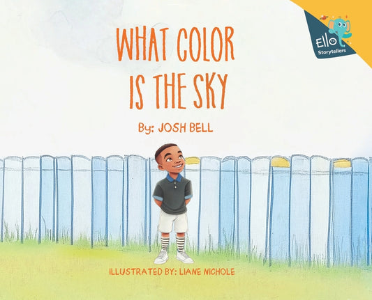 Book cover for What Color is the Sky