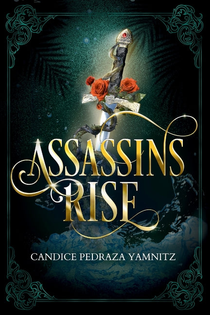 Book cover for Assassins Rise